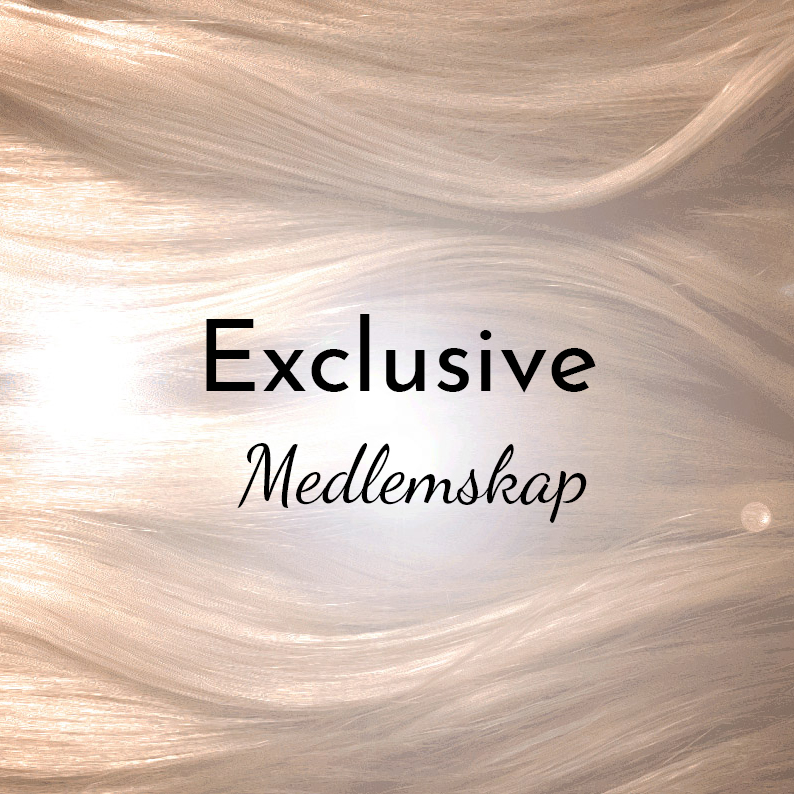 Exclusive Logo